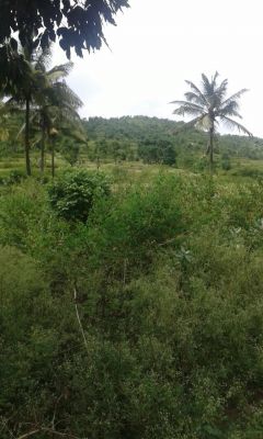 5.32 land best suitable for resorts near silent valley national park, kerala