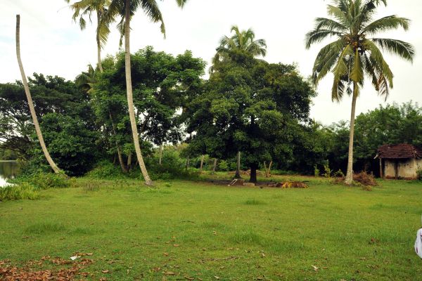 100 cent of land in Vayalar Cherthala