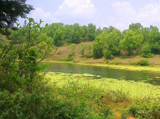 Dam water front dream land in Wayanad