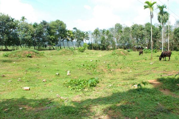 2.50 Acres of land for sale at Peruva Piravom Road, Kottayam