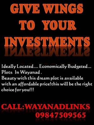 Good Property Dealer in WAYANAD ...wayanadlinks- connectingwayanad