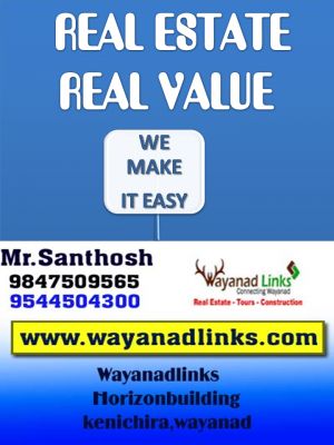 Priceless plot urgent sale at wayanad-wayanadlinks