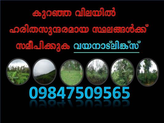 Good Property Dealer in WAYANAD ...wayanadlinks- connectingwayanad