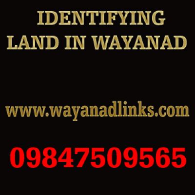 Good land and plot for sale at wayanad..wayanadlinks