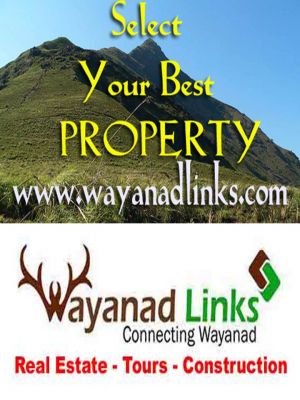 this is the good investment planning for a good year-wayanadlinks