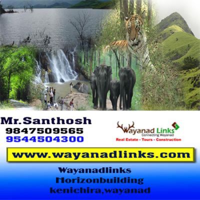 29 cent land near to karapuzha village resort-wayanadlinks