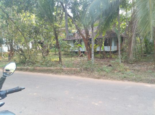 20 cents of land for sale in Meppayyur Cheruvannur road, Calicut