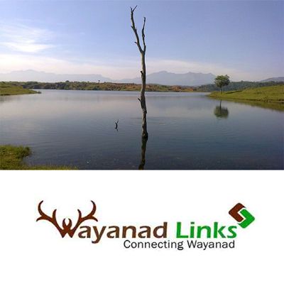 grab a small plot in wayanad wayanadlinks