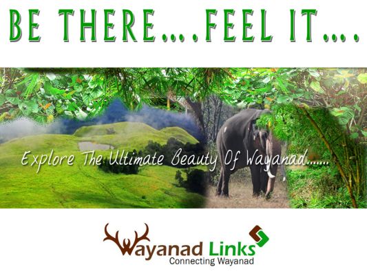 BUY/SELL!!! PLOT & LAND IN WAYANAD