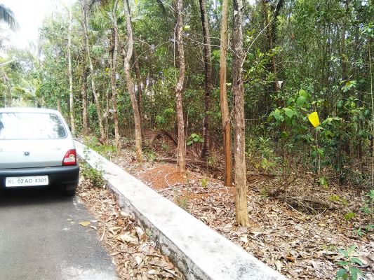 House plot for sale.Suitable for residential building near Technopark,Kundara,Kollam.