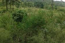 5.32 land best suitable for resorts near silent valley national park, kerala