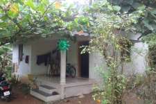 House with 5 cent plot for sale at Pathanapuram