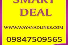 A Good income ,a good plot in wayanad-wayanadlinks