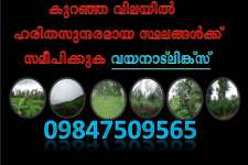 Good Property Dealer in WAYANAD ...wayanadlinks- connectingwayanad