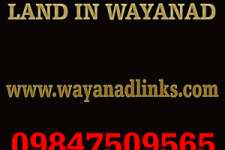 Good land and plot for sale at wayanad..wayanadlinks