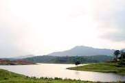 60 cent land for sale near to Karapuzha Dam-wayanadlinks