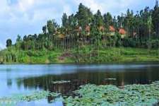 25 cent land for sale near to karapuzha dam