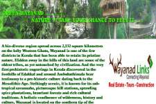 Riverside Paddy field for sale at Nadavayal wayanad-wayanadlinks