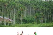 The best land with very low price in Wayanad -wayanadlinks