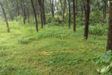 23 cents of property for sale near Kothamangalam , Ernakulam