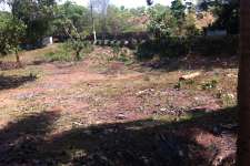 50cents of land for rent in kalamassery