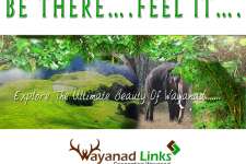 BUY/SELL!!! PLOT & LAND IN WAYANAD