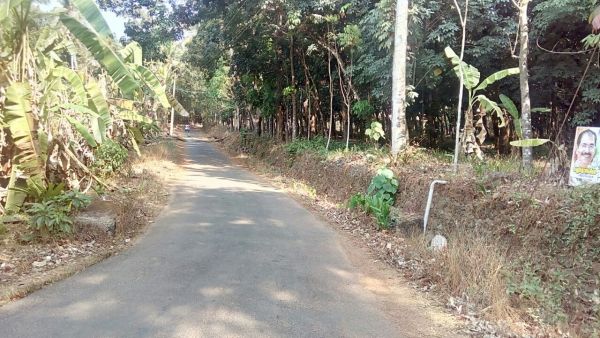 Land in karikottakari, iritty