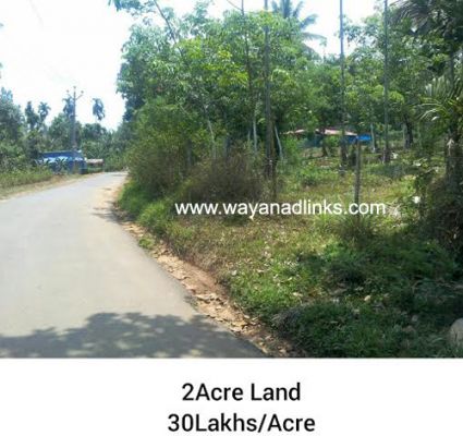 Priceless plot urgent sale at wayanad-wayanadlinks