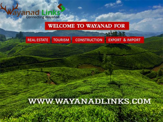 Real Estate in Wayanad(Buy Sell Rent ...)wayanadlinks