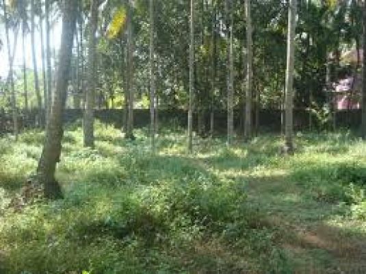 50 cents of land in ayalur nemmara