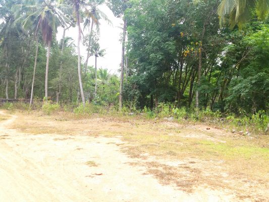 15 cent plot for sale near Kachani