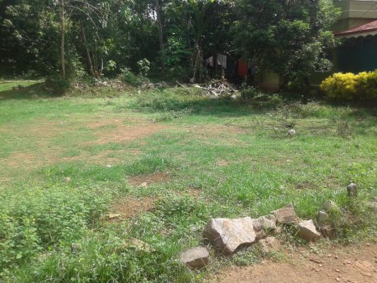 10 cent plot near snehapuram church