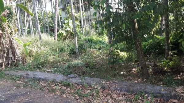 8.5 cent land at ollur (thrissur)