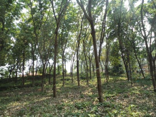 one acre plot, two sides road, main road, ernakulam district mulanthuruthy arakkunnam