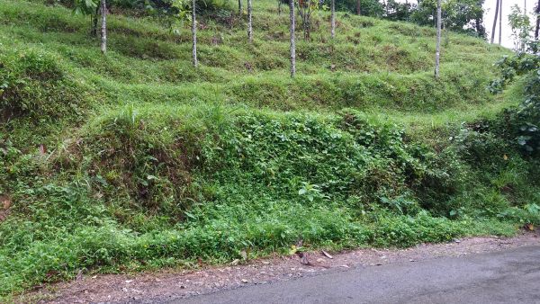 90 cents of land in MANKULAM, IDUKKI