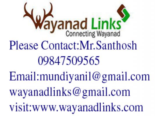 Give wings to your investments in wayanad-wayanadlinks