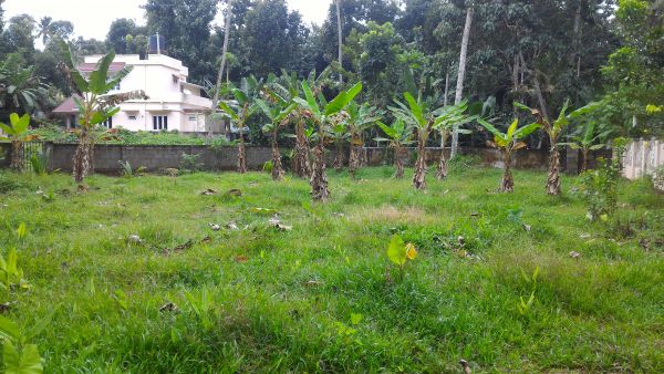 15 cent land at Nethaloor near karukachal,kottayam