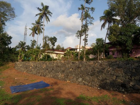 Residential plot 10 cent, 8, Between Thalayolaparmbu and Chottanikkara