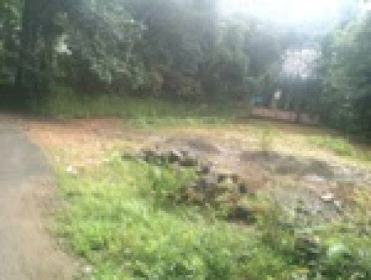 1.5 acres of land  in koothattukulam is for sale