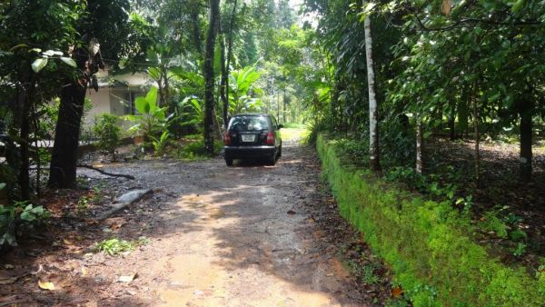 20cent house plot at vydyasalapadi perumbavoor