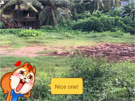 25 cent good residential land for sale near irinjalskuda