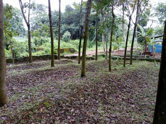 VC857 , 30  Cent land in Mulanthuruthy .