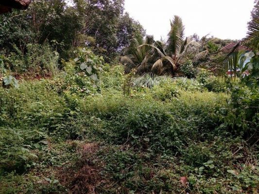 VC860 , 15 cent land for sale in Mulanthuruthy - Karickod