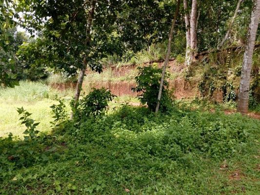 vc861 , 10 cent land for sale in Mulanthuruthy , Ernakulam .