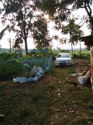 10 cent land at Athani Kurumassry route  Parakadavu Near Nss school,