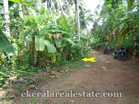 13 cents land of Kuttyani Trivandrum