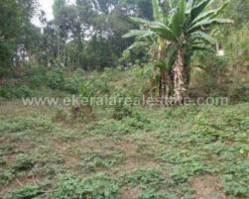 35 cents land in Adoor near All Saints School