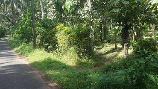 3 ACRE RESIDENTIAL LAND FOR SALE AT KAIPARAMPU