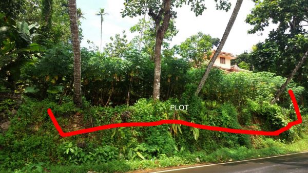 75 cents of Prime land in Kodungoor - Pala road ( 1.5 lak per cent)