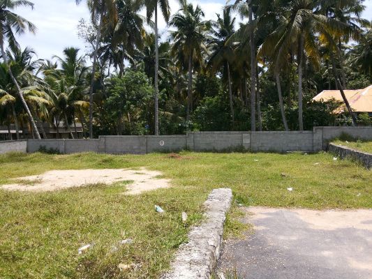 6 cents of land,murikkumpuzha,Trivandrum,near Techno-city..